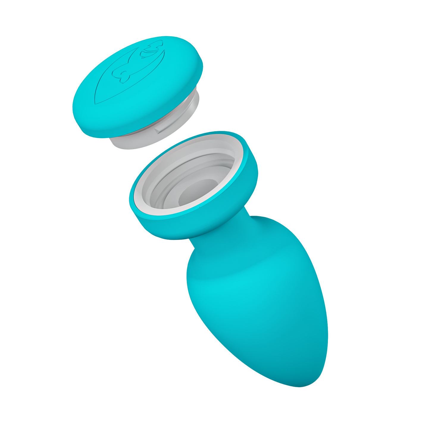 The Stash Plug - Teal